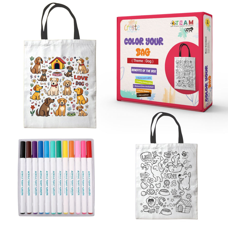 DIY Color Your Bag Kit Available with Different Themes | 3years+