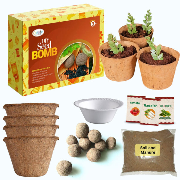 DIY Seed Bomb Gardening Kit | 3years+