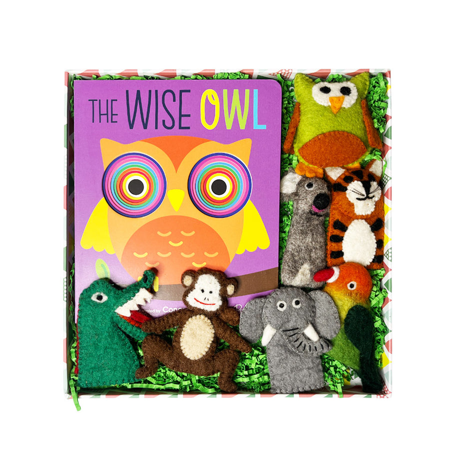 Story Box - The Wise Owl Theme – toddler activity box by Creste