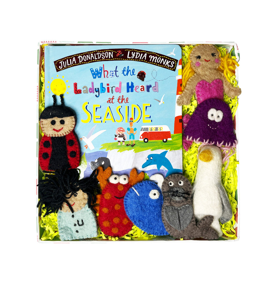 Story Box - What the Ladybird Heard at the Seaside Theme – toddler activity box by Creste